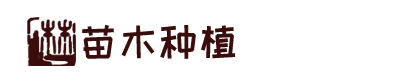 乐发lll-追求健康,你我一起成长